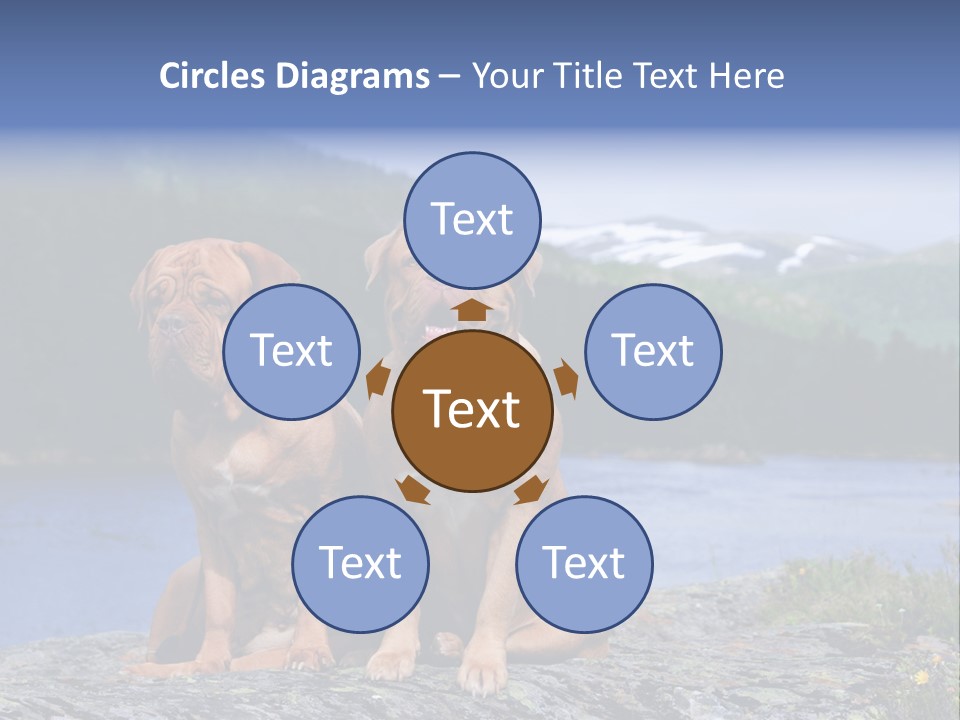 Two Dogs On The River Bank PowerPoint Template