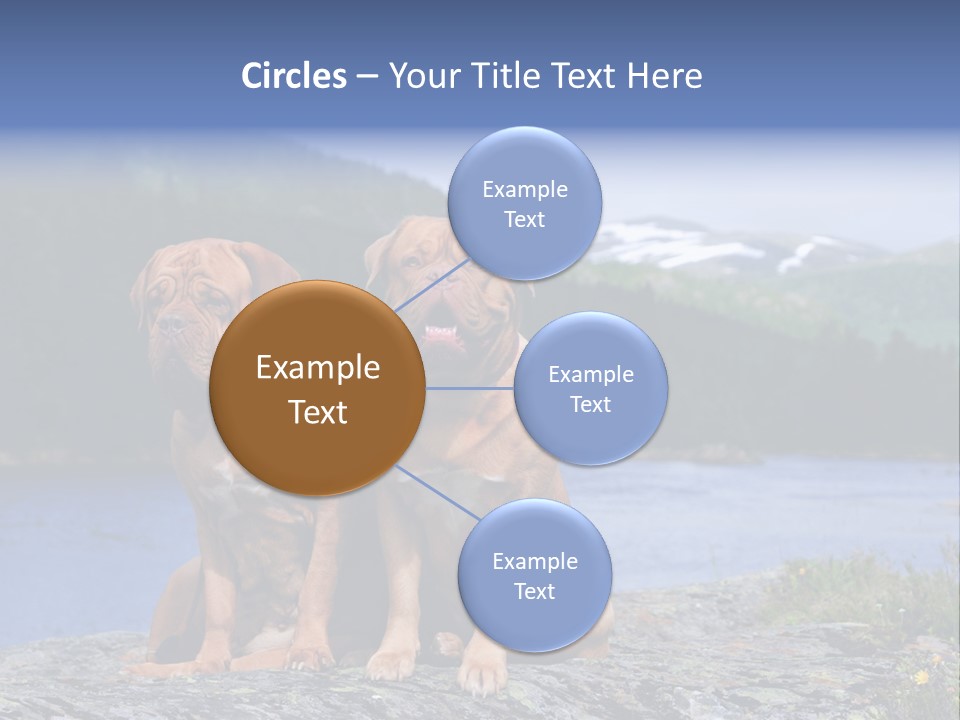 Two Dogs On The River Bank PowerPoint Template