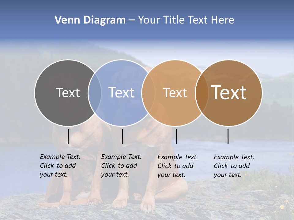 Two Dogs On The River Bank PowerPoint Template