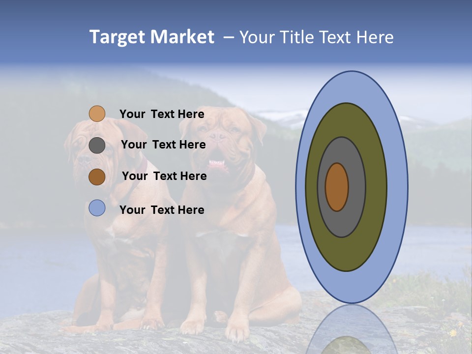 Two Dogs On The River Bank PowerPoint Template