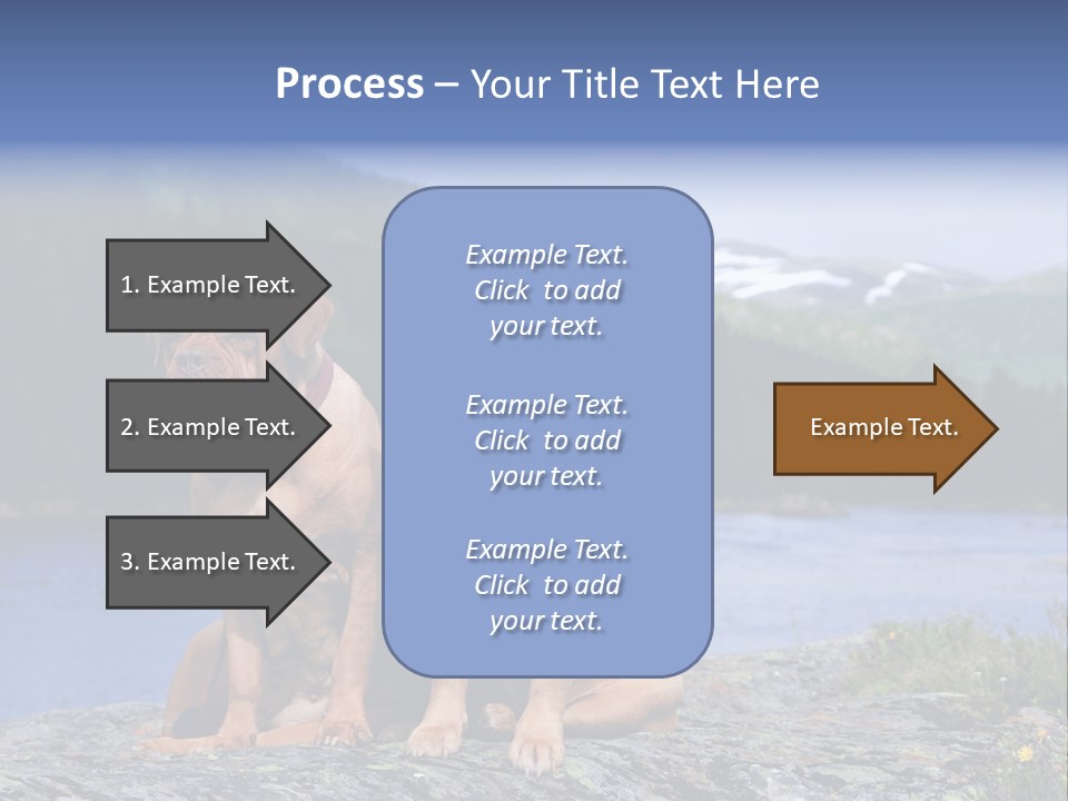 Two Dogs On The River Bank PowerPoint Template