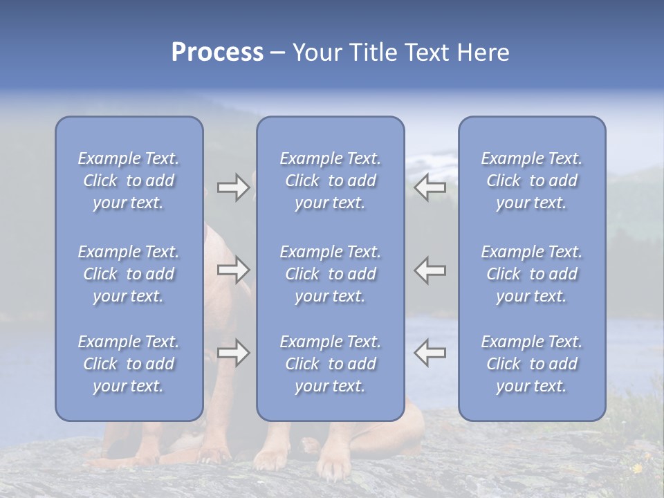 Two Dogs On The River Bank PowerPoint Template