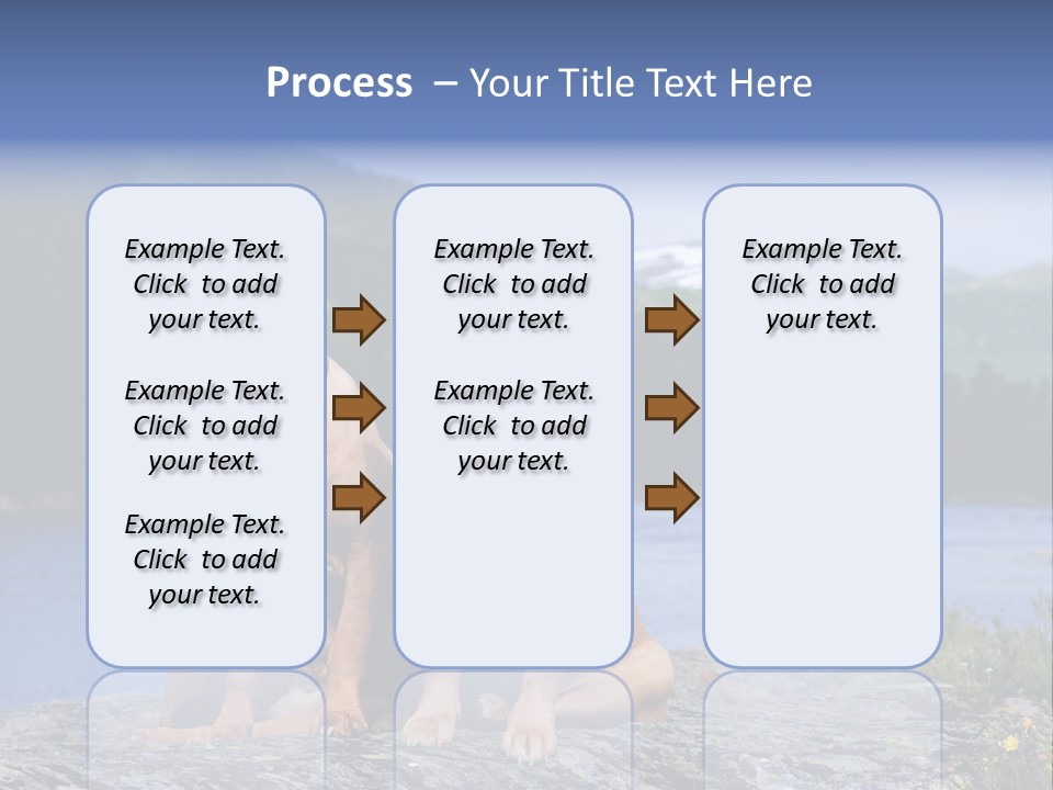 Two Dogs On The River Bank PowerPoint Template