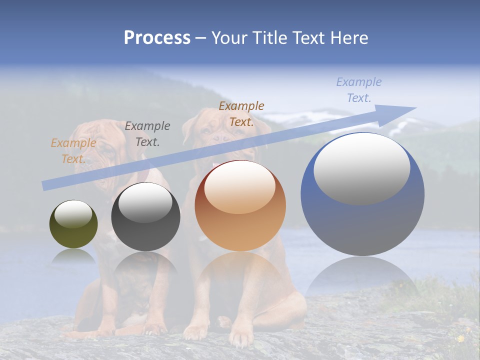 Two Dogs On The River Bank PowerPoint Template