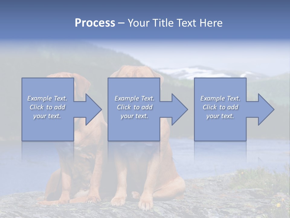 Two Dogs On The River Bank PowerPoint Template