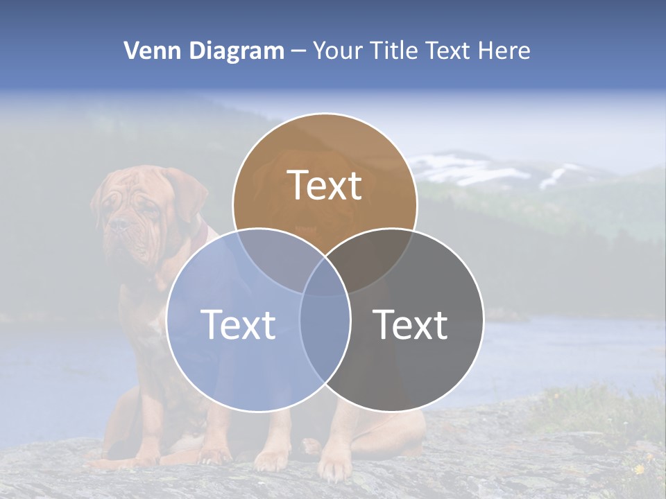 Two Dogs On The River Bank PowerPoint Template