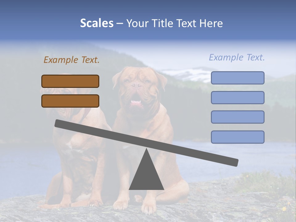 Two Dogs On The River Bank PowerPoint Template