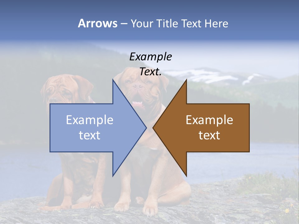 Two Dogs On The River Bank PowerPoint Template