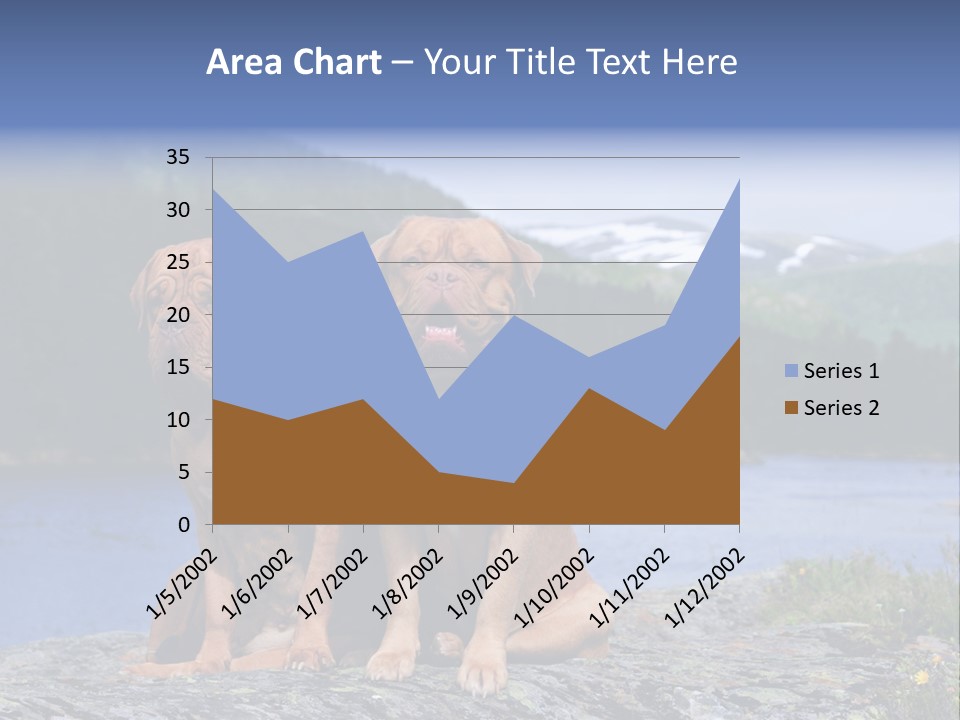 Two Dogs On The River Bank PowerPoint Template