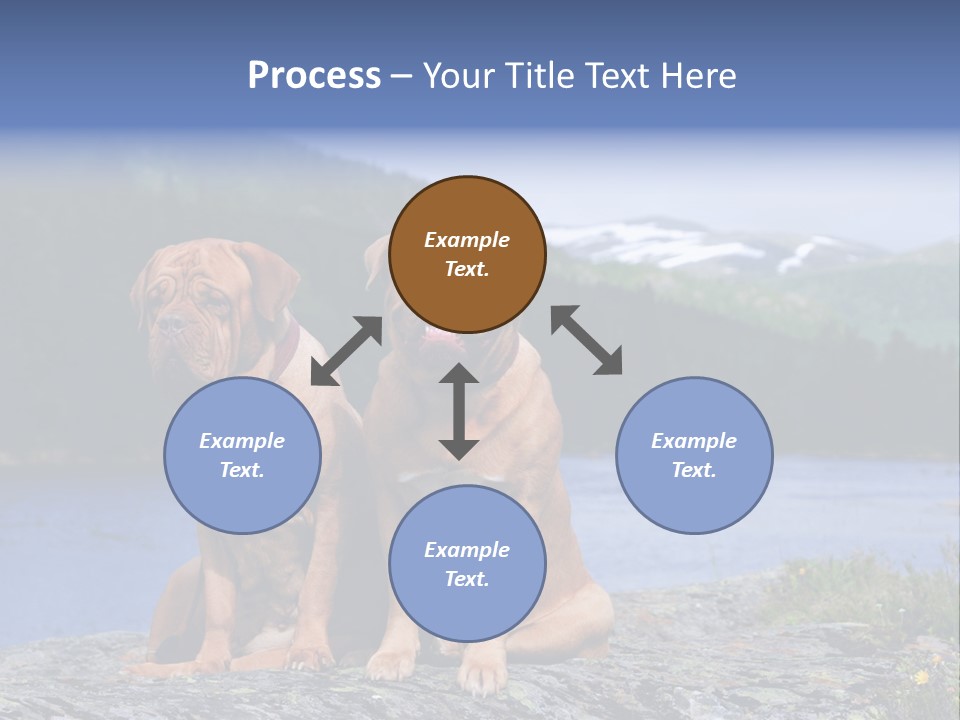 Two Dogs On The River Bank PowerPoint Template