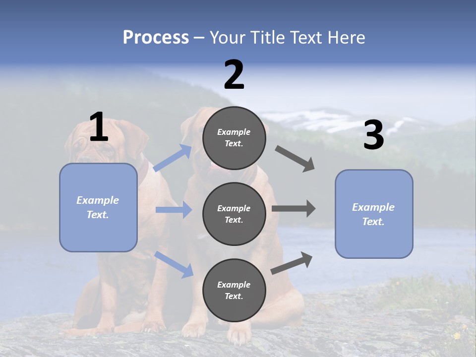 Two Dogs On The River Bank PowerPoint Template