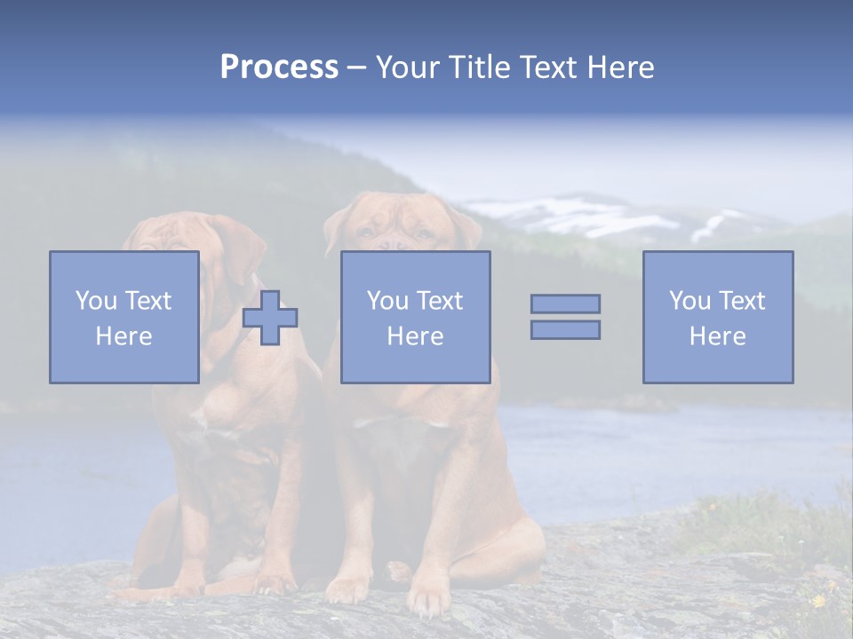 Two Dogs On The River Bank PowerPoint Template