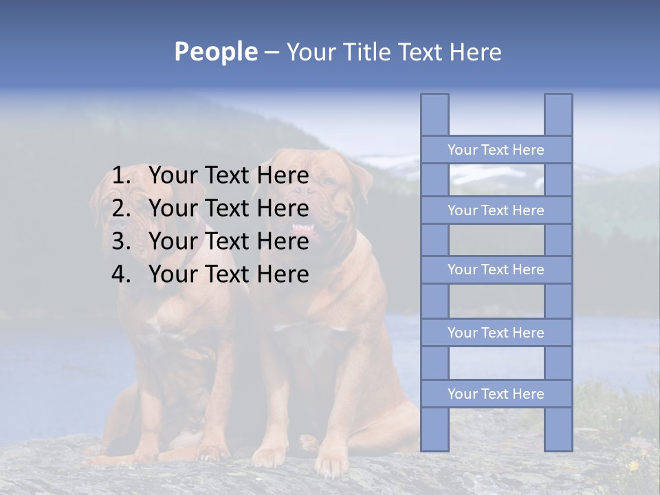 Two Dogs On The River Bank PowerPoint Template