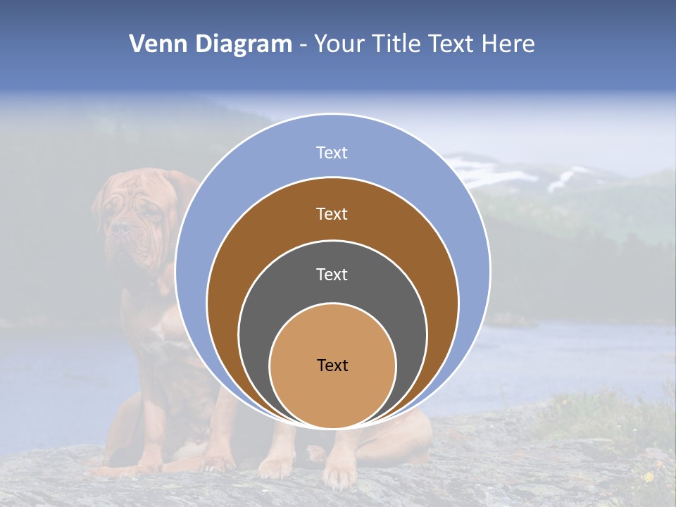 Two Dogs On The River Bank PowerPoint Template