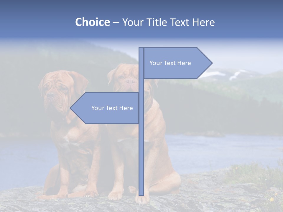 Two Dogs On The River Bank PowerPoint Template