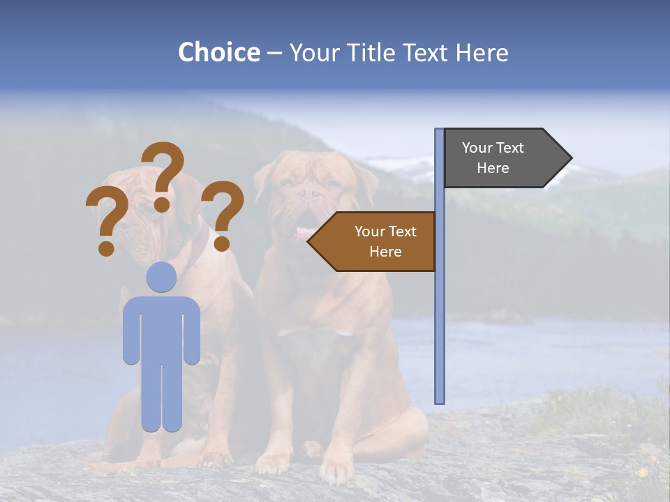 Two Dogs On The River Bank PowerPoint Template