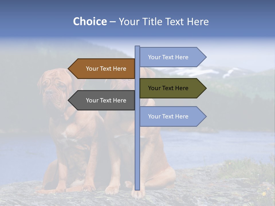 Two Dogs On The River Bank PowerPoint Template