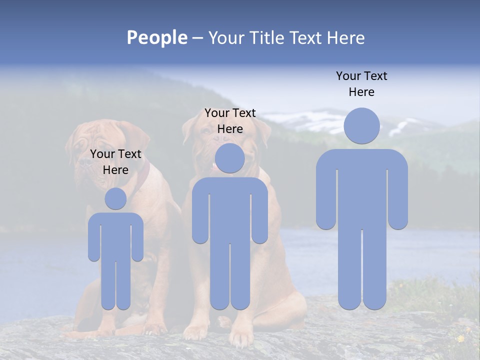 Two Dogs On The River Bank PowerPoint Template