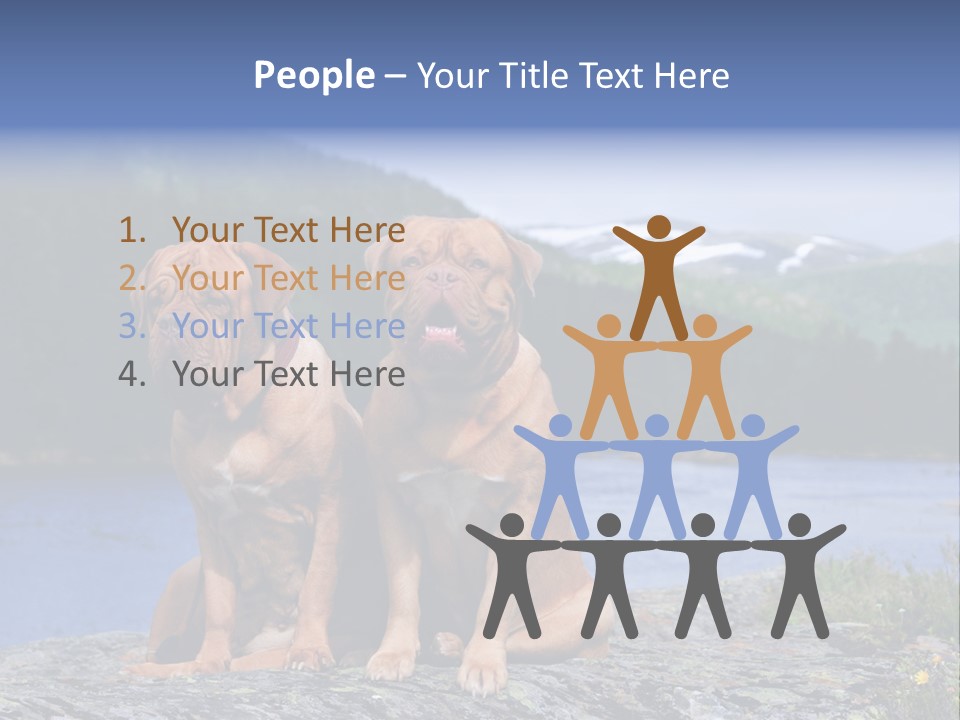 Two Dogs On The River Bank PowerPoint Template