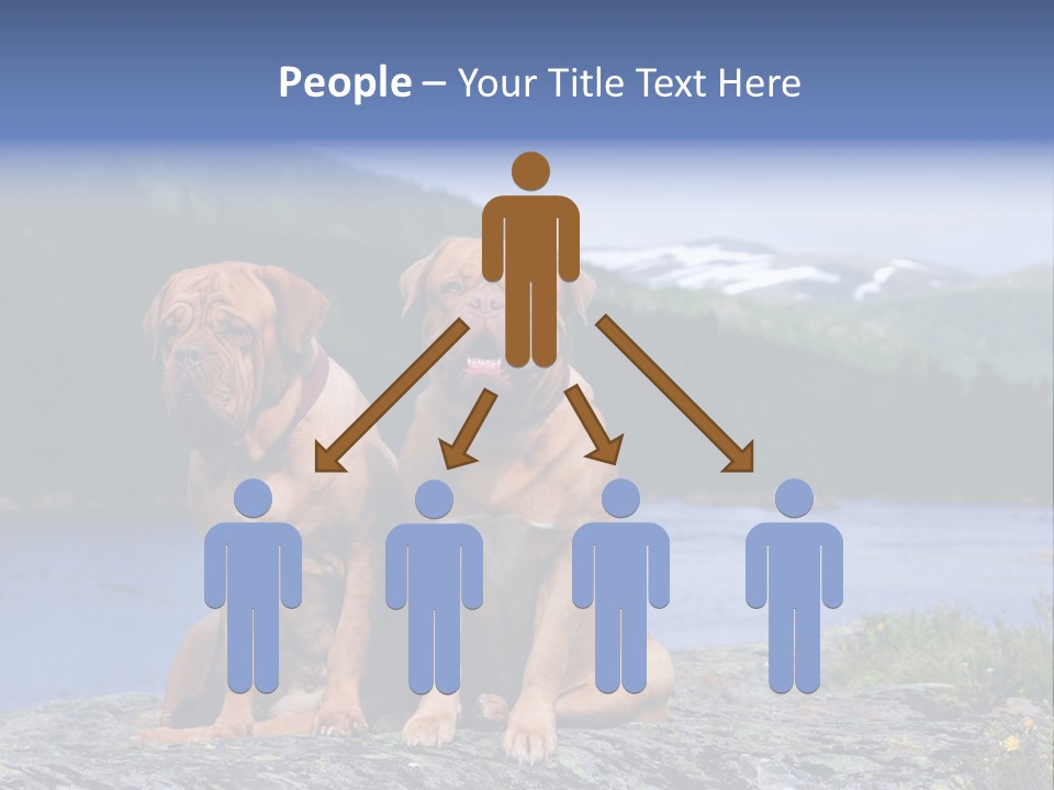 Two Dogs On The River Bank PowerPoint Template