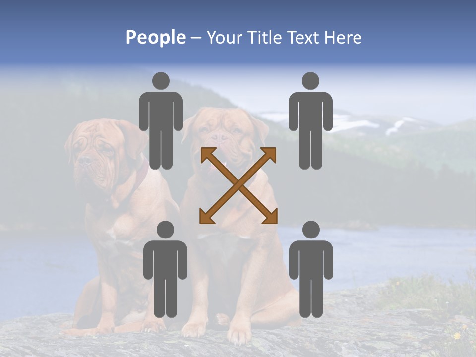 Two Dogs On The River Bank PowerPoint Template