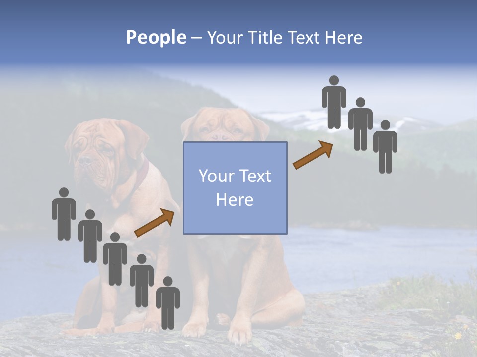 Two Dogs On The River Bank PowerPoint Template