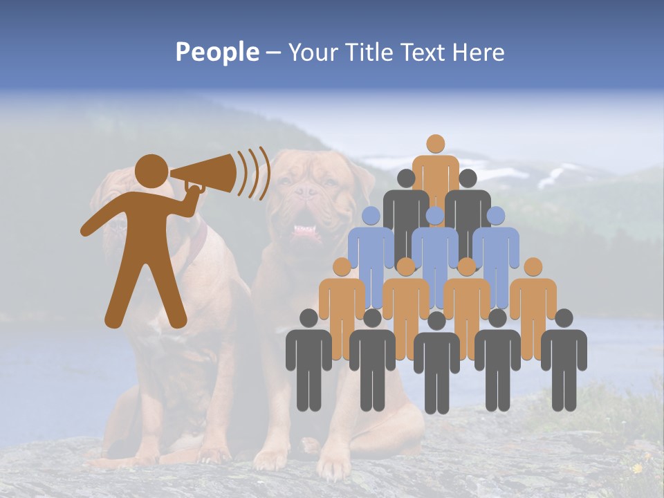 Two Dogs On The River Bank PowerPoint Template