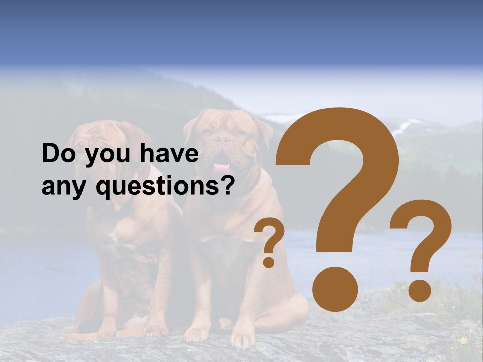 Two Dogs On The River Bank PowerPoint Template