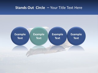 Arrive Without A Parachute PowerPoint Template