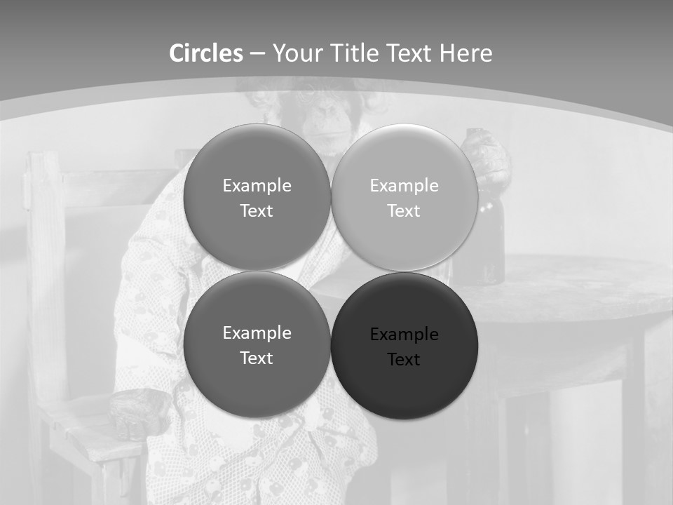 Monkey At The Table PowerPoint Template