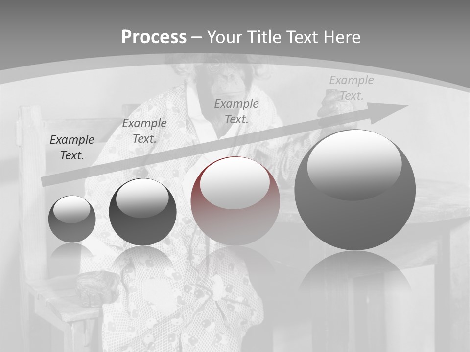 Monkey At The Table PowerPoint Template