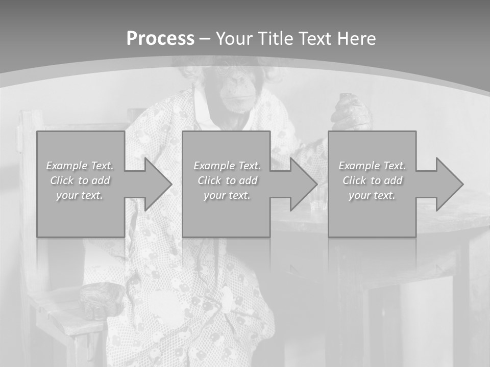 Monkey At The Table PowerPoint Template