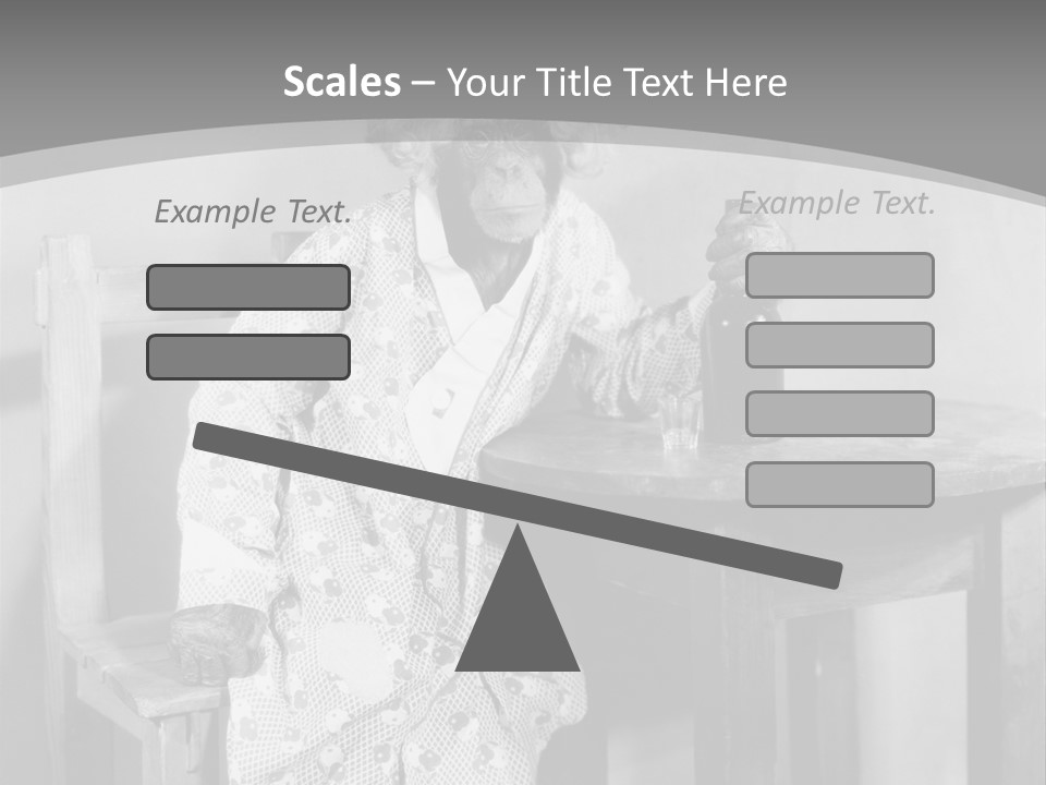 Monkey At The Table PowerPoint Template