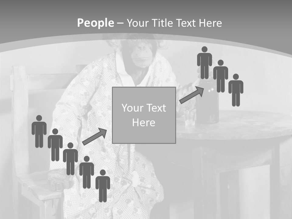 Monkey At The Table PowerPoint Template