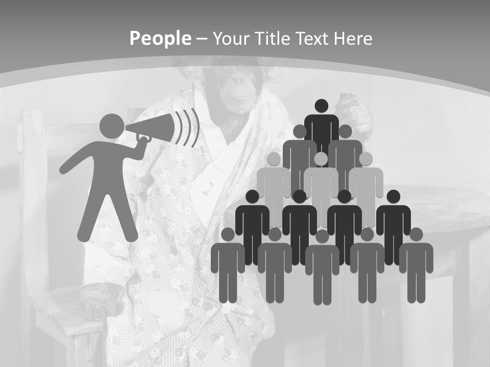 Monkey At The Table PowerPoint Template