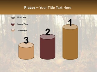 Girl Playing The Violin In The Woods PowerPoint Template