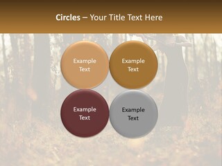 Girl Playing The Violin In The Woods PowerPoint Template