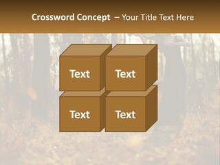 Girl Playing The Violin In The Woods PowerPoint Template