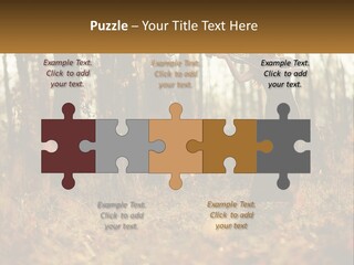 Girl Playing The Violin In The Woods PowerPoint Template