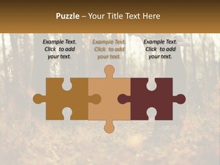 Girl Playing The Violin In The Woods PowerPoint Template