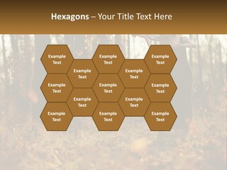 Girl Playing The Violin In The Woods PowerPoint Template