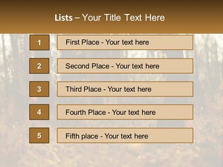 Girl Playing The Violin In The Woods PowerPoint Template