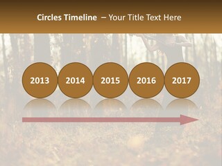 Girl Playing The Violin In The Woods PowerPoint Template