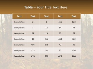 Girl Playing The Violin In The Woods PowerPoint Template