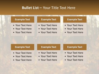 Girl Playing The Violin In The Woods PowerPoint Template