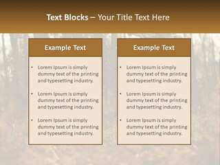 Girl Playing The Violin In The Woods PowerPoint Template