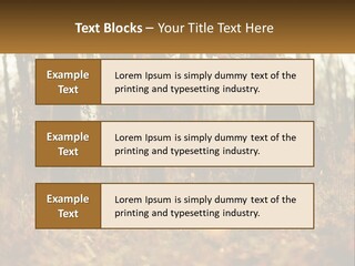 Girl Playing The Violin In The Woods PowerPoint Template