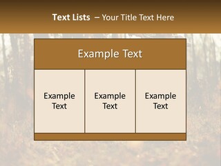 Girl Playing The Violin In The Woods PowerPoint Template