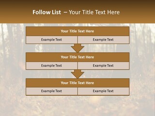 Girl Playing The Violin In The Woods PowerPoint Template