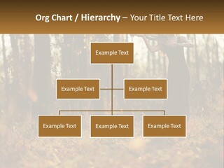 Girl Playing The Violin In The Woods PowerPoint Template